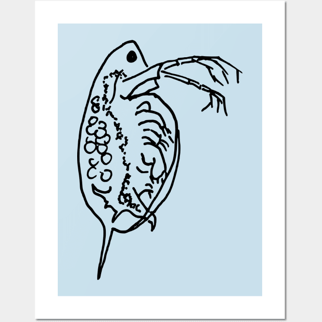 Daphnia Line Art Wall Art by DashingGecko